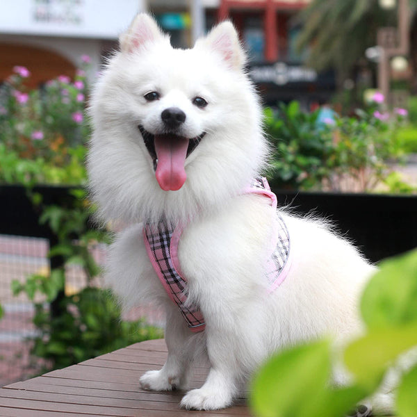 MerryBIY Dog Harness and Lead Set, Step-in Breathable Reflective Puppy Cat Dog Vest for Small Medium Dogs