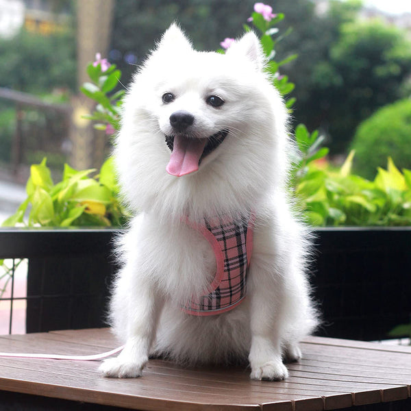 MerryBIY Dog Harness and Lead Set, Step-in Breathable Reflective Puppy Cat Dog Vest for Small Medium Dogs