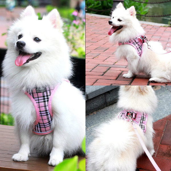 MerryBIY Dog Harness and Lead Set, Step-in Breathable Reflective Puppy Cat Dog Vest for Small Medium Dogs