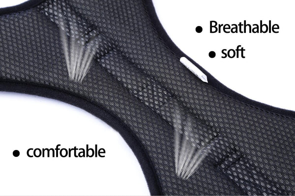 MerryBIY Adjustable Dog Harness with Leash