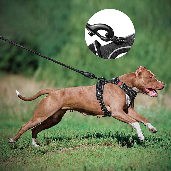 MerryBIY Dog Harness and Leash Set, Escape Proof No Pull Vest Harness