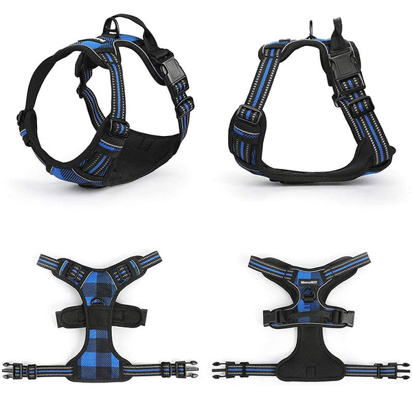 Dog Harness BLUE Black