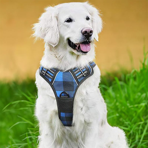 Dog Harness BLUE Black