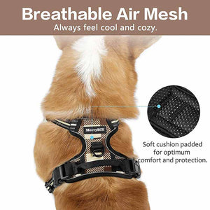 Dog Harness Beige Brown