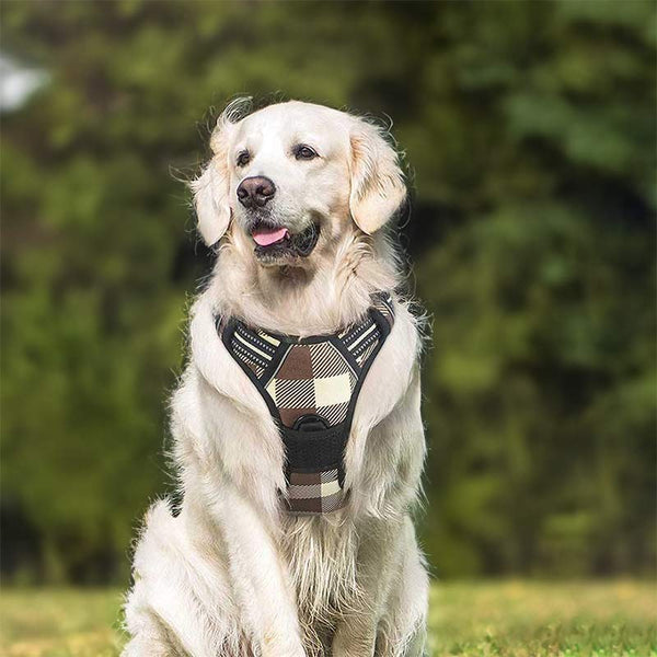 Dog Harness Beige Brown