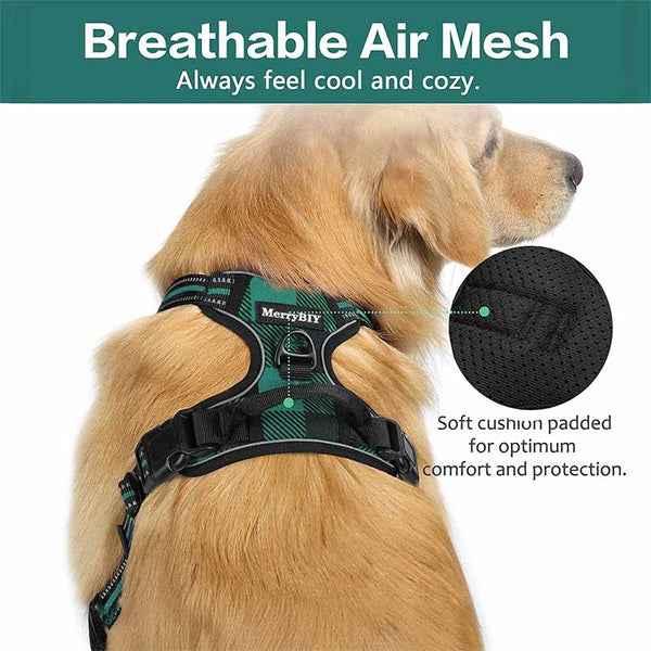 Dog Harness Green Black