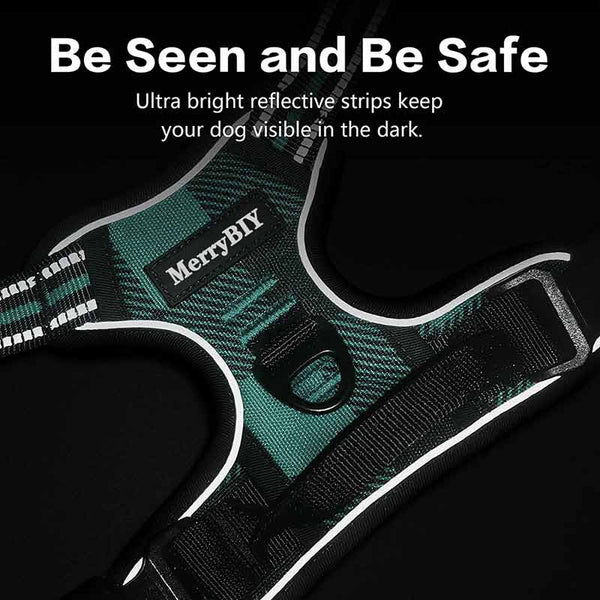 Dog Harness Green Black