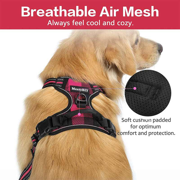 Dog Harness Pink & Black