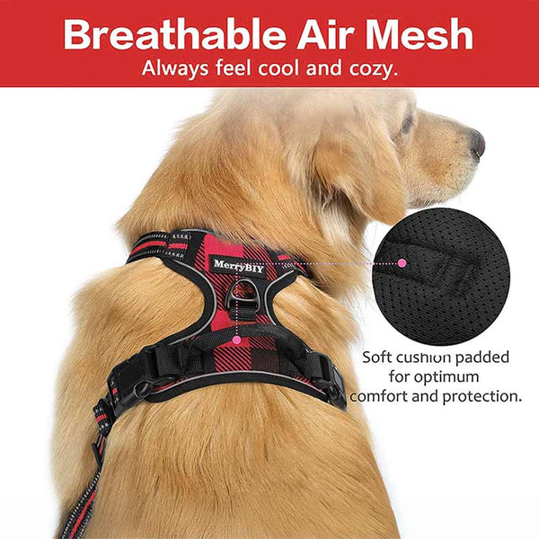 Dog Harness Red Black