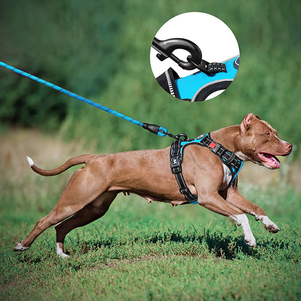 MerryBIY Dog Harness and Leash Set, Escape Proof No Pull Vest Harness