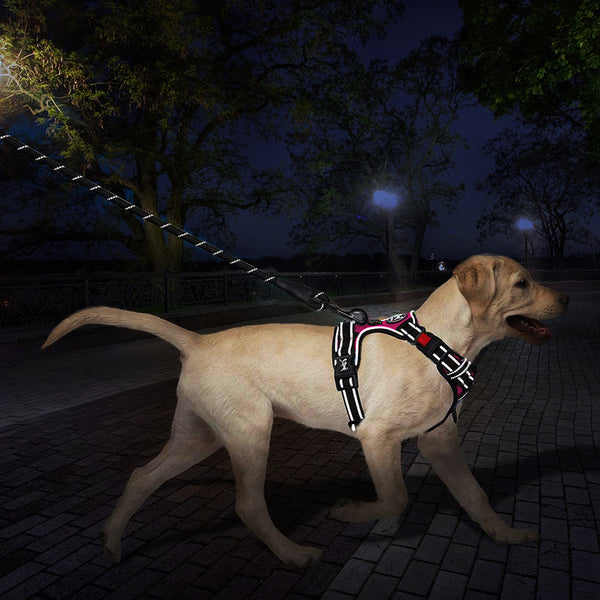 MerryBIY Dog Harness and Leash Set, Escape Proof No Pull Vest Harness