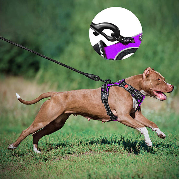 MerryBIY Dog Harness and Leash Set, Escape Proof No Pull Vest Harness