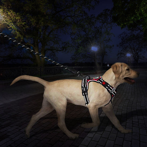 MerryBIY Dog Harness and Leash Set, Escape Proof No Pull Vest Harness