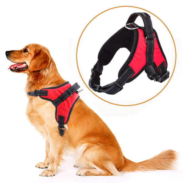 MerryBIY Adjustable Dog Harness with Leash