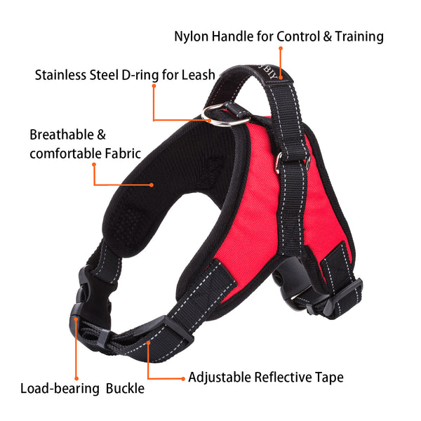 MerryBIY Adjustable Dog Harness with Leash