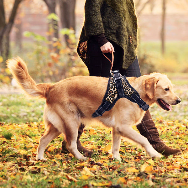 MerryBIY Adjustable Dog Harness with Leash