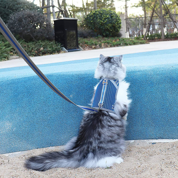 MerryBIY Puppy Cat Harness and Leash for Walking Escape Proof Air Mesh Fabric
