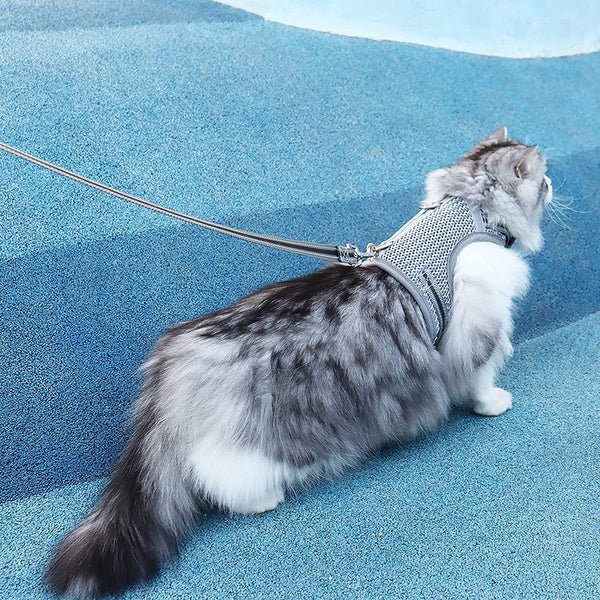 MerryBIY Puppy Cat Harness and Leash for Walking Escape Proof Air Mesh Fabric