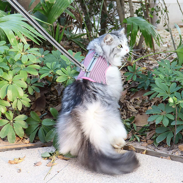 MerryBIY Puppy Cat Harness and Leash for Walking Escape Proof Air Mesh Fabric