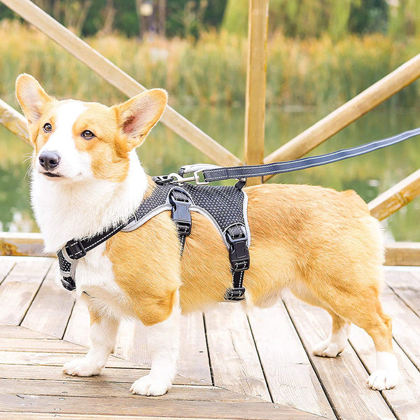 MerryBIY Multi-Use Dog Harness, Escape Proof No-Pull Adjustable Breathable Vest