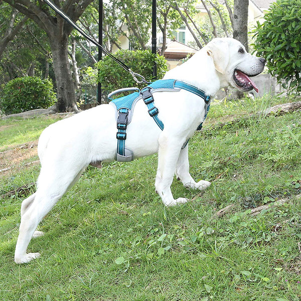 MerryBIY Multi-Use Dog Harness, Escape Proof No-Pull Adjustable Breathable Vest