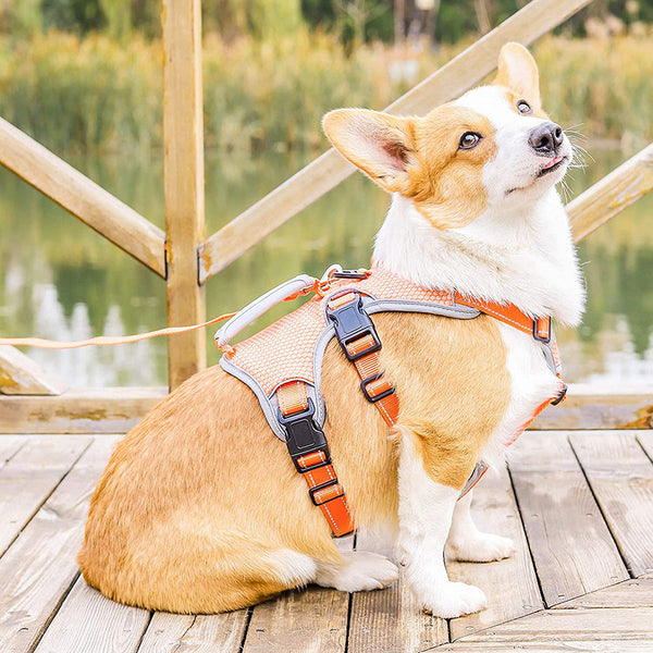 MerryBIY Multi-Use Dog Harness, Escape Proof No-Pull Adjustable Breathable Vest