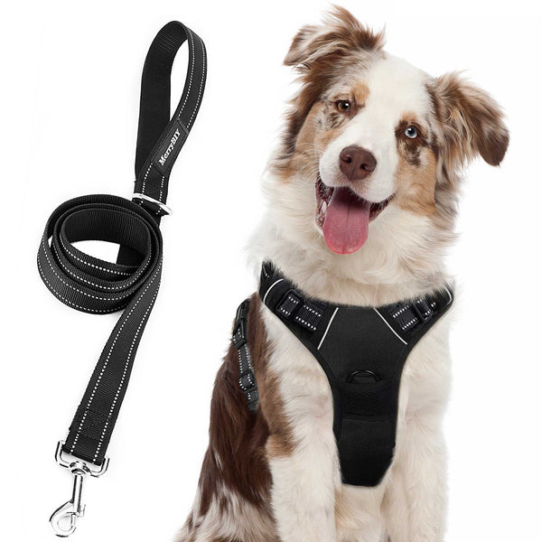 NO-PULL-DOG-HARNESS-M
