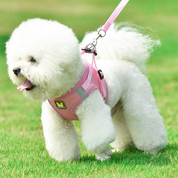 MerryBIY Cat Harness and Leash Set for Escape Proof Walking