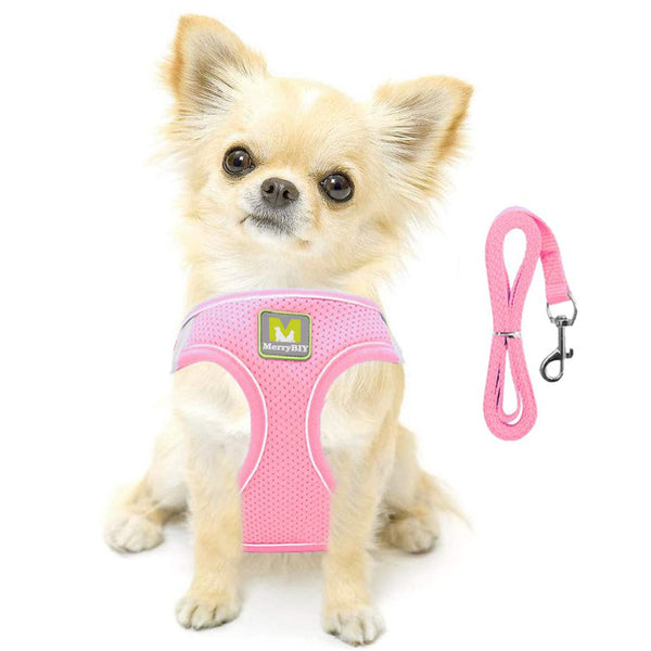 MerryBIY Cat Harness and Leash Set for Escape Proof Walking