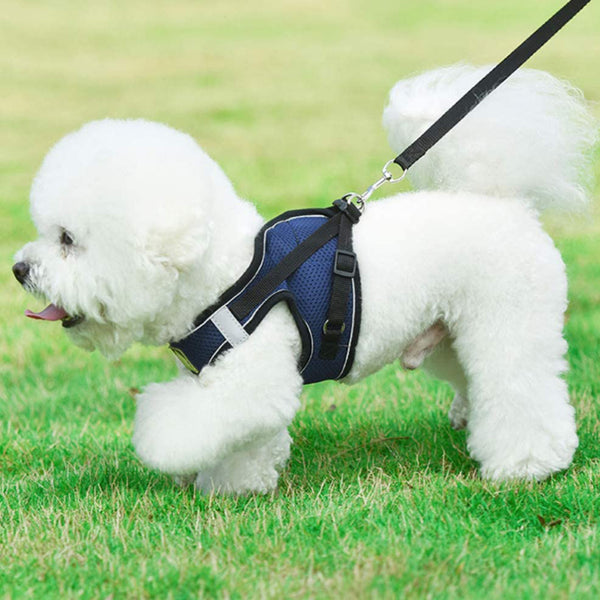 MerryBIY Cat Harness and Leash Set for Escape Proof Walking