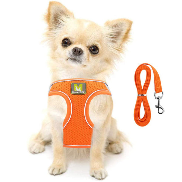 MerryBIY Cat Harness and Leash Set for Escape Proof Walking