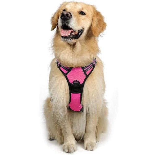 MerryBIY No Pull Dog Harness & Leash