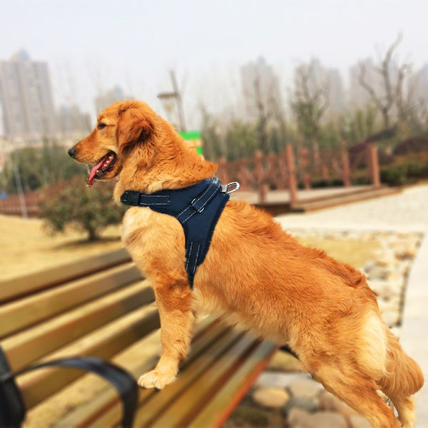 MerryBIY Adjustable Dog Harness with Leash