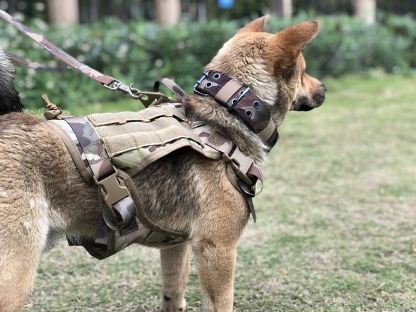 MerryBIY Military  Tactical Dog Harness Vest Large with Handle, K9 Working Dog Vest Training Running For Medium Large Dogs German Shepherd