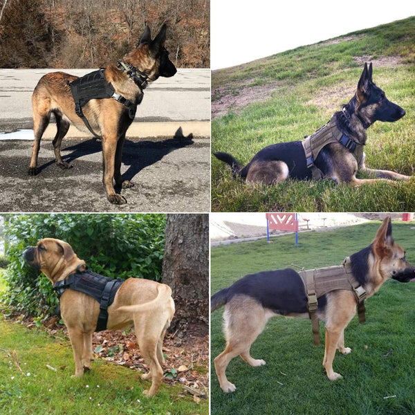 MerryBIY Military  Tactical Dog Harness Vest Large with Handle, K9 Working Dog Vest Training Running For Medium Large Dogs German Shepherd