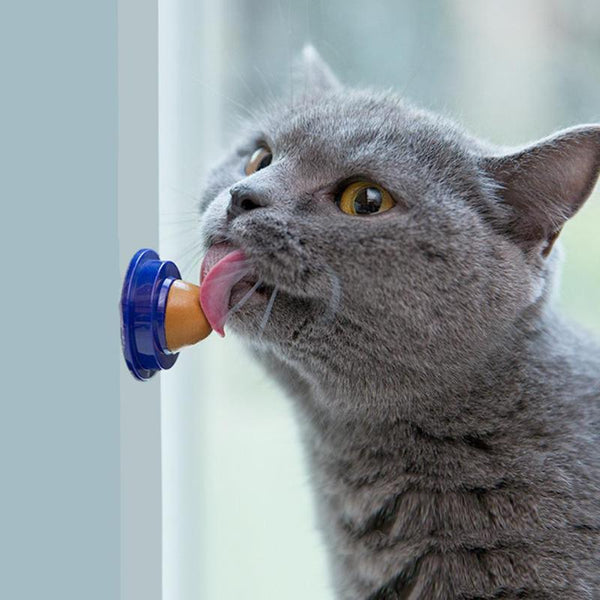 MerryBIY 1PC Healthy Cat Snacks Catnip Sugar Candy Licking Nutrition Gel Energy Ball Toy for Cats Kittens Cat Product