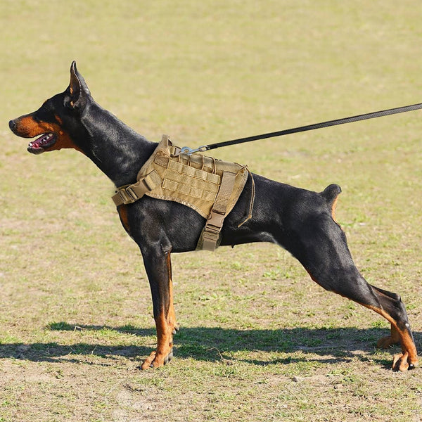 MerryBIY Military Tactical Big Dog Harness with No Pull Front Clip K9 Working Cannie Molle Hunting Vest