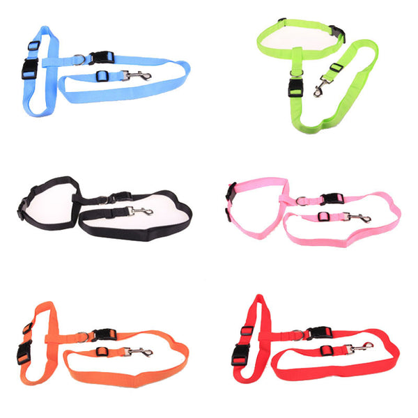 Attractive  Beautiful  Colorful Popular Traction Pulling Leash Pet Dog Running Jogging Convenient Safe Fashional  Goods for pets