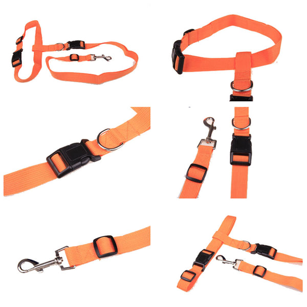 Attractive  Beautiful  Colorful Popular Traction Pulling Leash Pet Dog Running Jogging Convenient Safe Fashional  Goods for pets