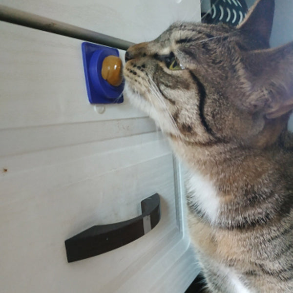 MerryBIY 1PC Healthy Cat Snacks Catnip Sugar Candy Licking Nutrition Gel Energy Ball Toy for Cats Kittens Cat Product