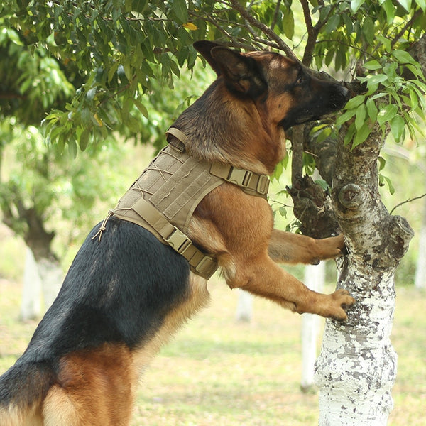 MerryBIY Military Tactical Big Dog Harness with No Pull Front Clip K9 Working Cannie Molle Hunting Vest