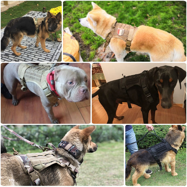 MerryBIY Military  Tactical Dog Harness Vest Large with Handle, K9 Working Dog Vest Training Running For Medium Large Dogs German Shepherd