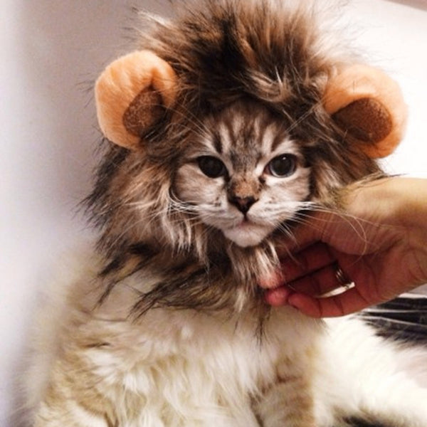 MerryBIY Funny Cute Pet Cat Costume Lion Mane Wig Cap Hat for Cat Dog Halloween Christmas Clothes Fancy Dress with Ears Pet Clothes