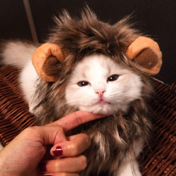 MerryBIY Funny Cute Pet Cat Costume Lion Mane Wig Cap Hat for Cat Dog Halloween Christmas Clothes Fancy Dress with Ears Pet Clothes
