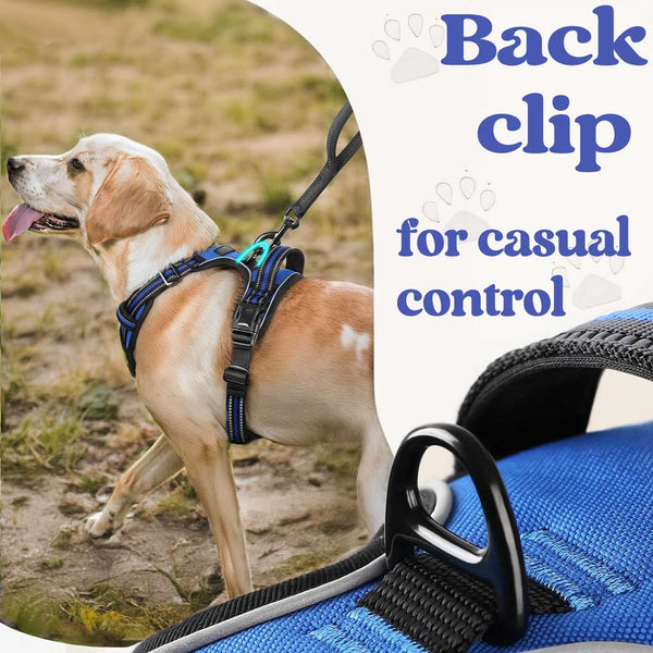 BLACK NO-PULL-DOG-HARNESS