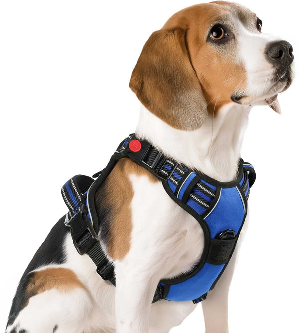 BLUE NO-PULL-DOG-HARNESS