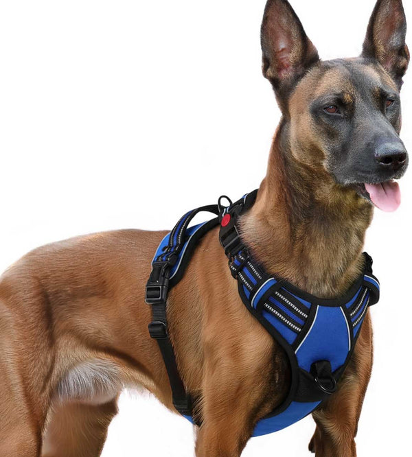 BLUE NO-PULL-DOG-HARNESS