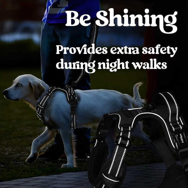 BLACK NO-PULL-DOG-HARNESS