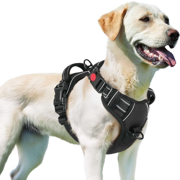 BLACK NO-PULL-DOG-HARNESS