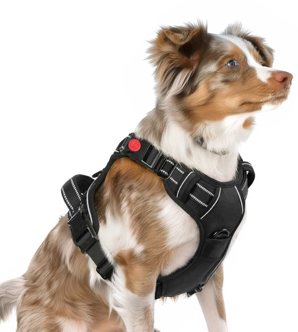 BLACK NO-PULL-DOG-HARNESS